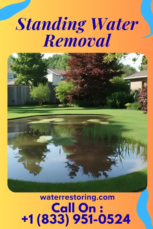 Standing Water Removal in Charleston, AR